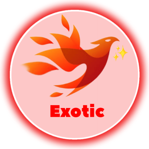 Exotic Tunnel Plus icon
