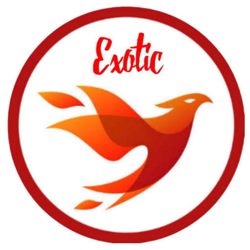 Exotic Fast VIP (All devices) icon